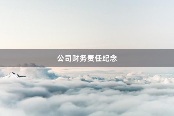 公司财务责任纪念